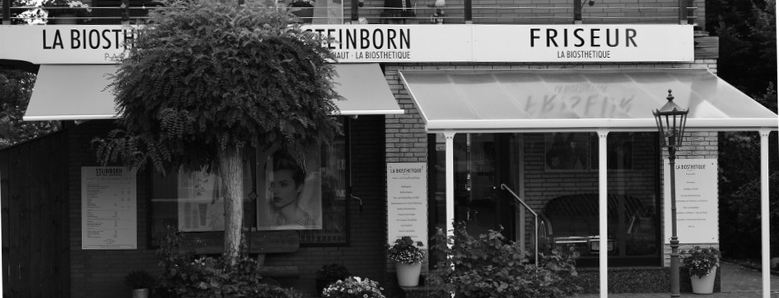 Salon Steinborn – Einblick in den Salon